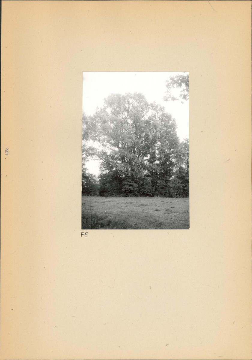 Ewidencja parkowa, skan nr 20