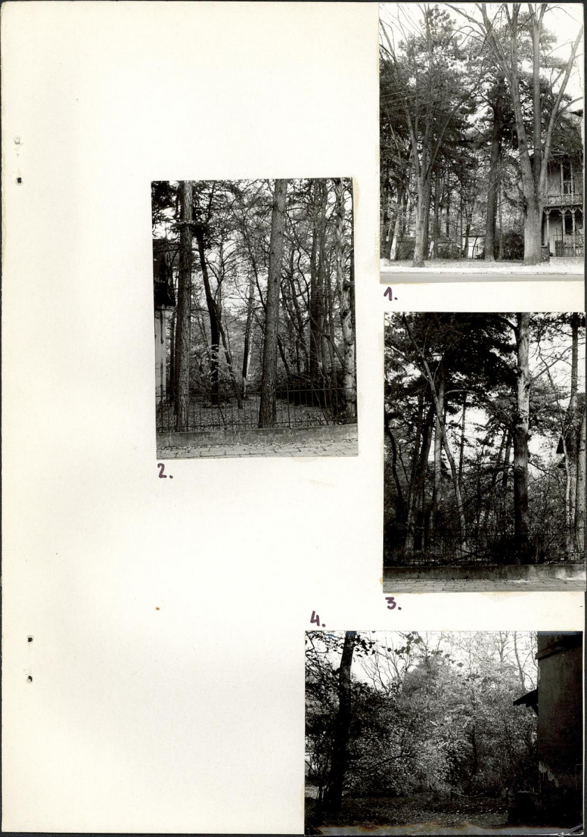 Ewidencja parkowa, skan nr 16