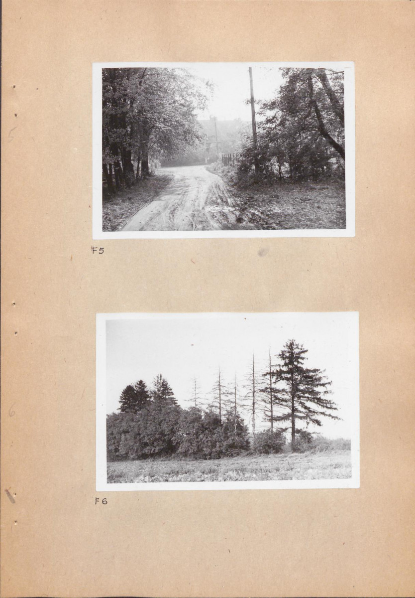 EP - Ewidencja parkowa, skan nr 22