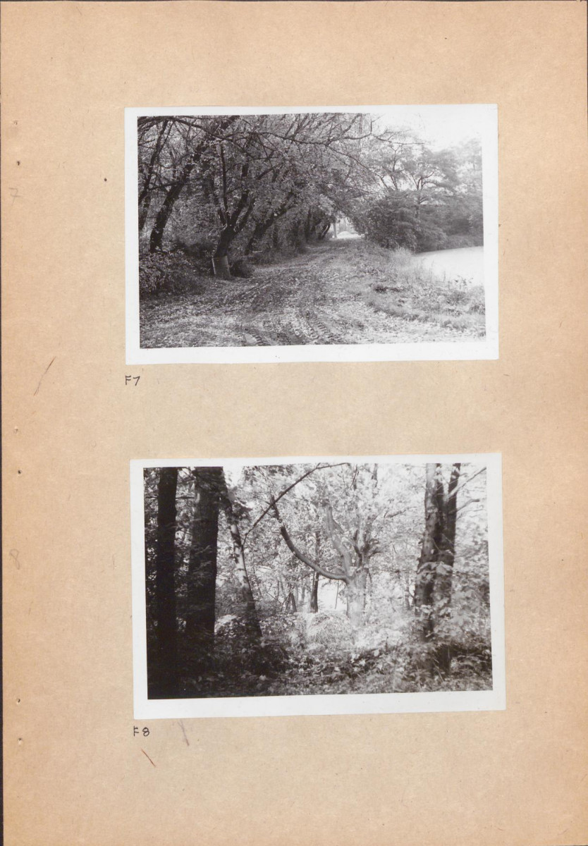 EP - Ewidencja parkowa, skan nr 23