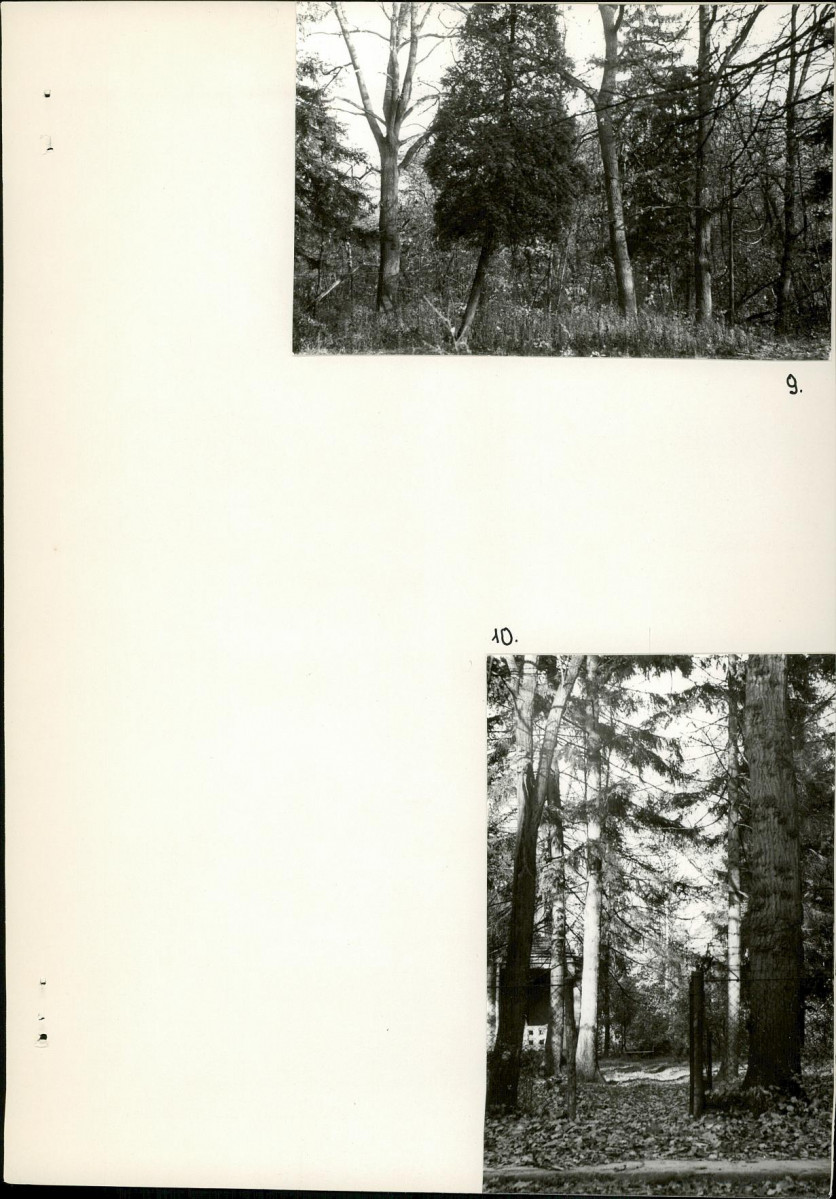 Ewidencja parkowa, skan nr 24