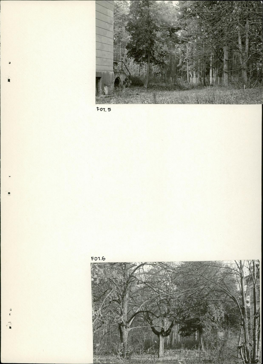 Ewidencja parkowa, skan nr 21