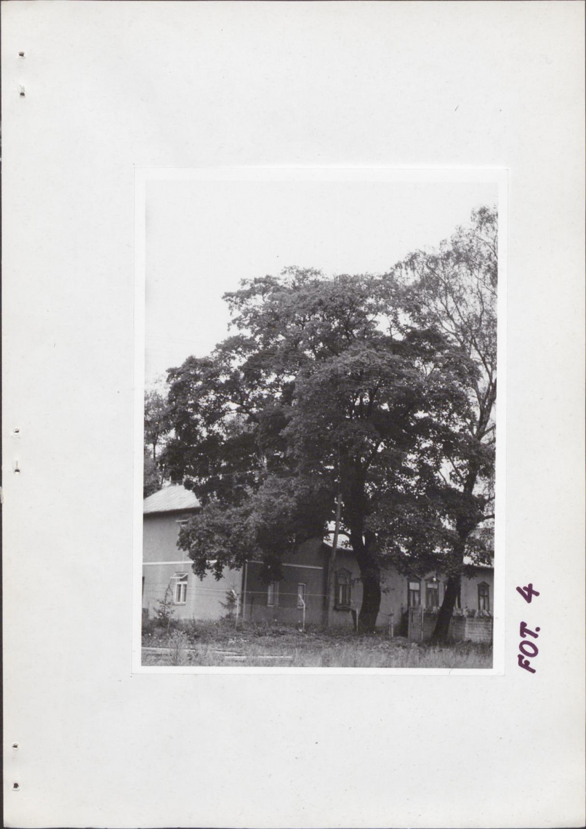 Ewidencja parkowa, skan nr 21