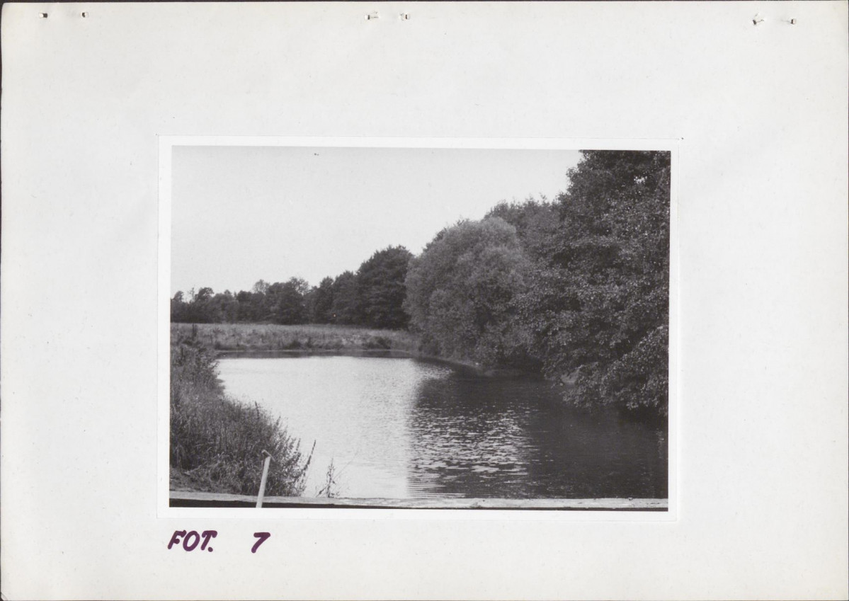 Ewidencja parkowa, skan nr 24