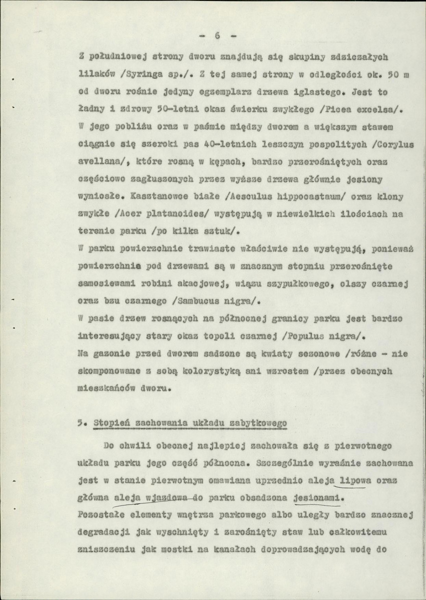 Ewidencja parkowa, skan nr 11