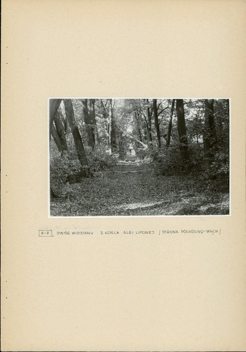 Ewidencja parkowa, skan nr 19