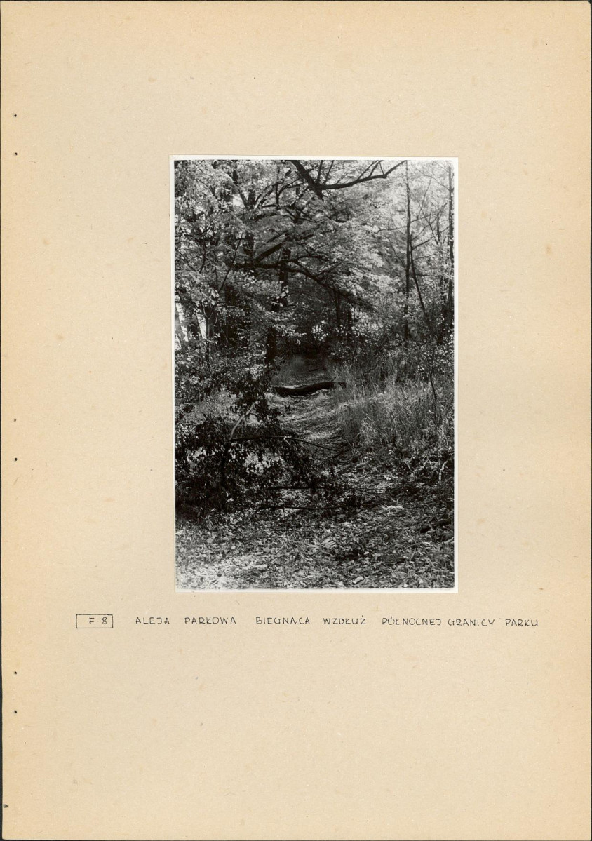 Ewidencja parkowa, skan nr 20