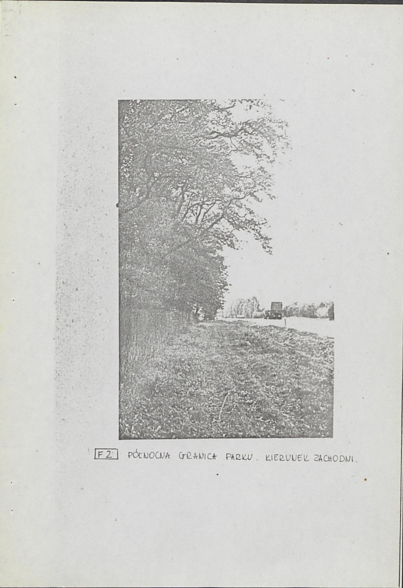 Ewidencja parkowa, skan nr 19