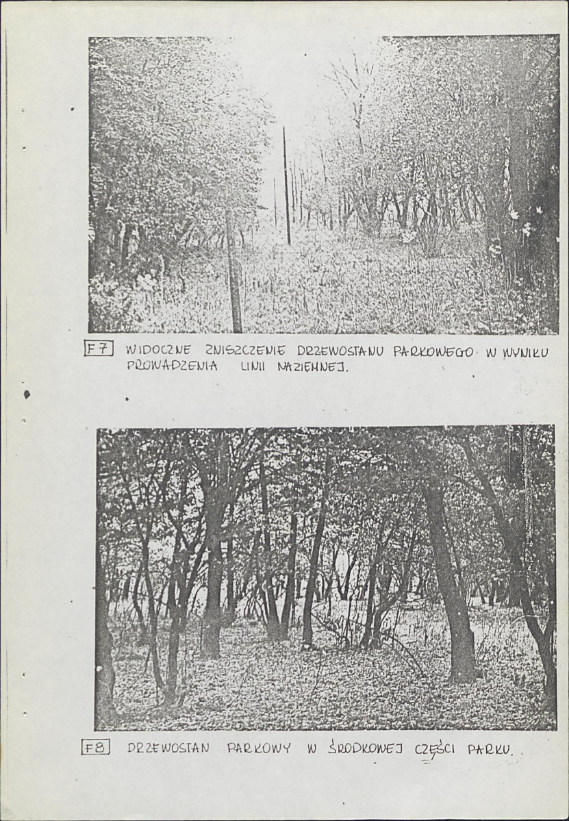 Ewidencja parkowa, skan nr 23
