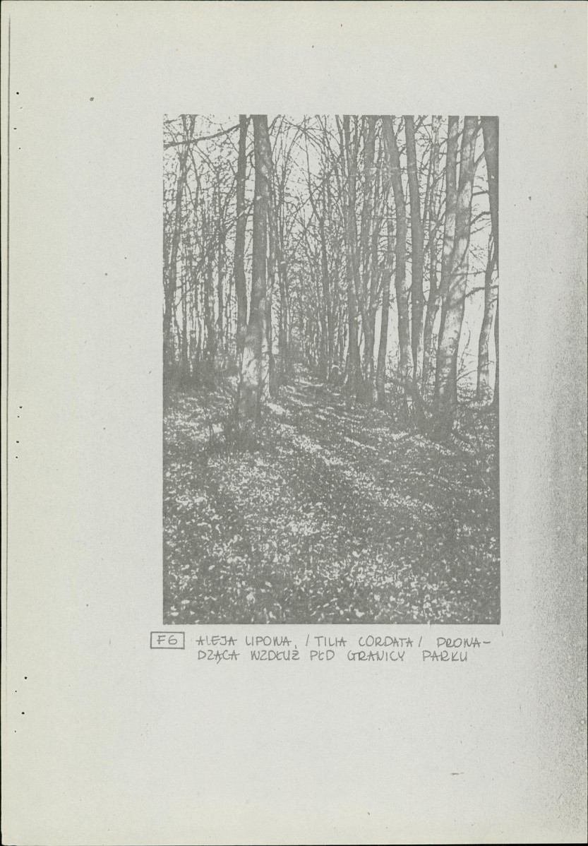 Ewidencja parkowa, skan nr 17