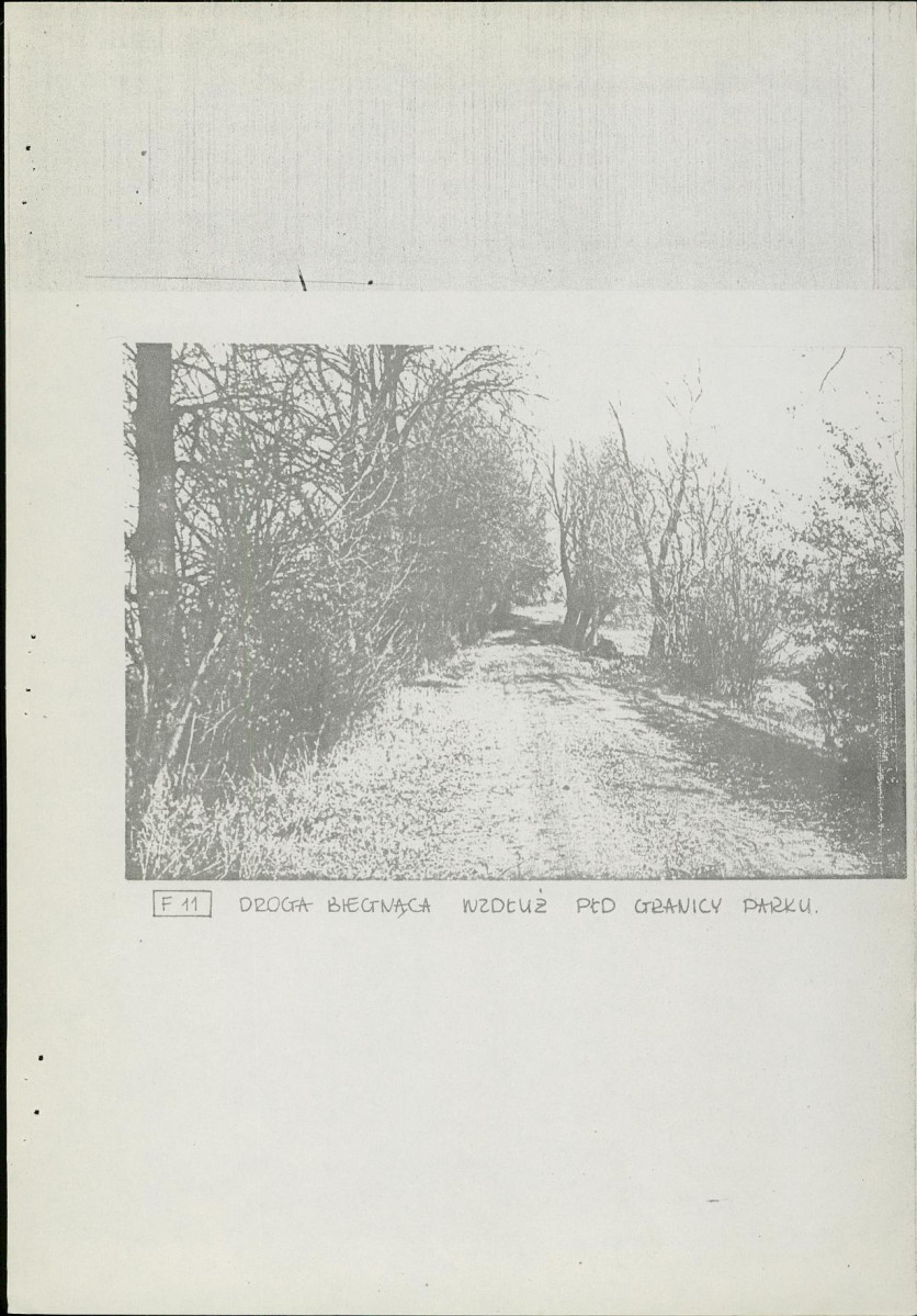 Ewidencja parkowa, skan nr 21