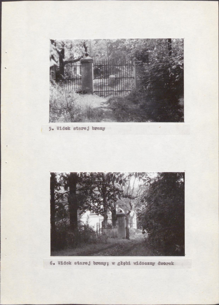Ewidencja parkowa, skan nr 13