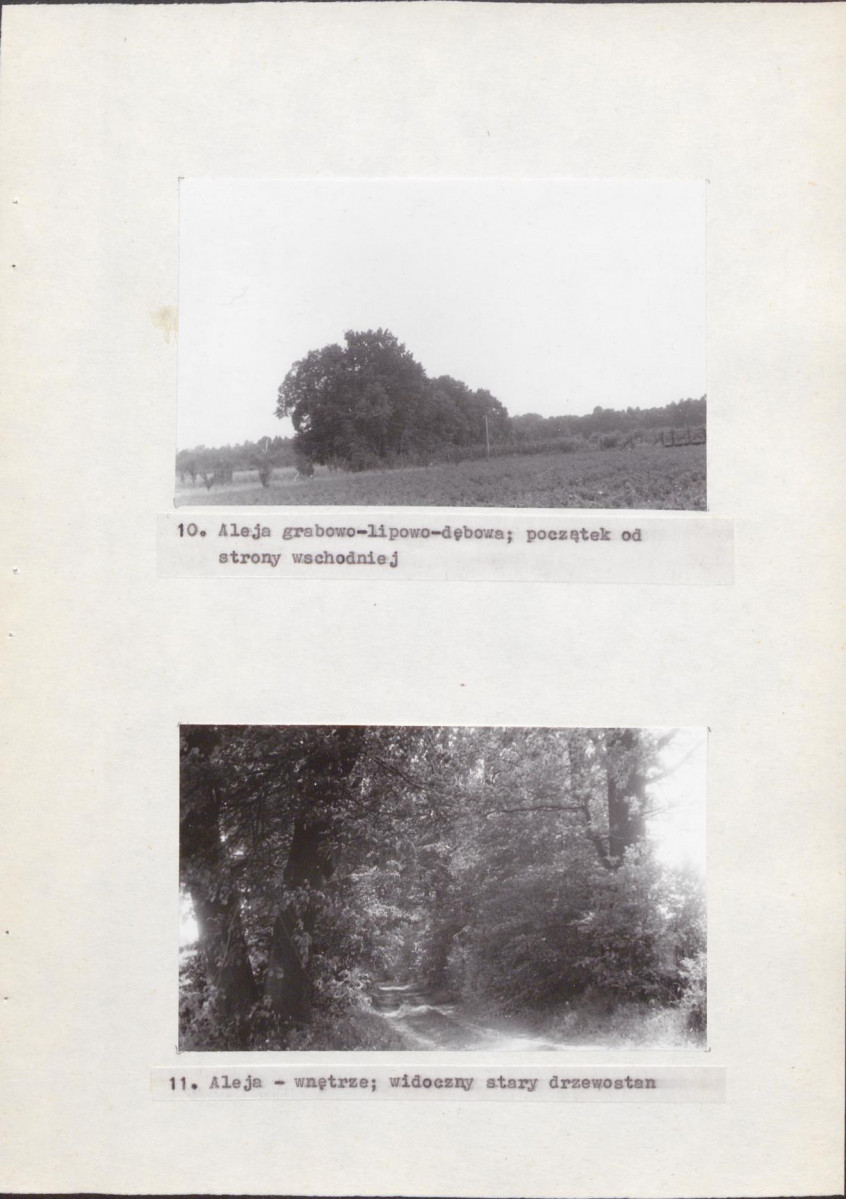 Ewidencja parkowa, skan nr 16