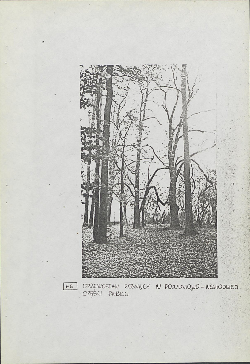 Ewidencja parkowa, skan nr 23