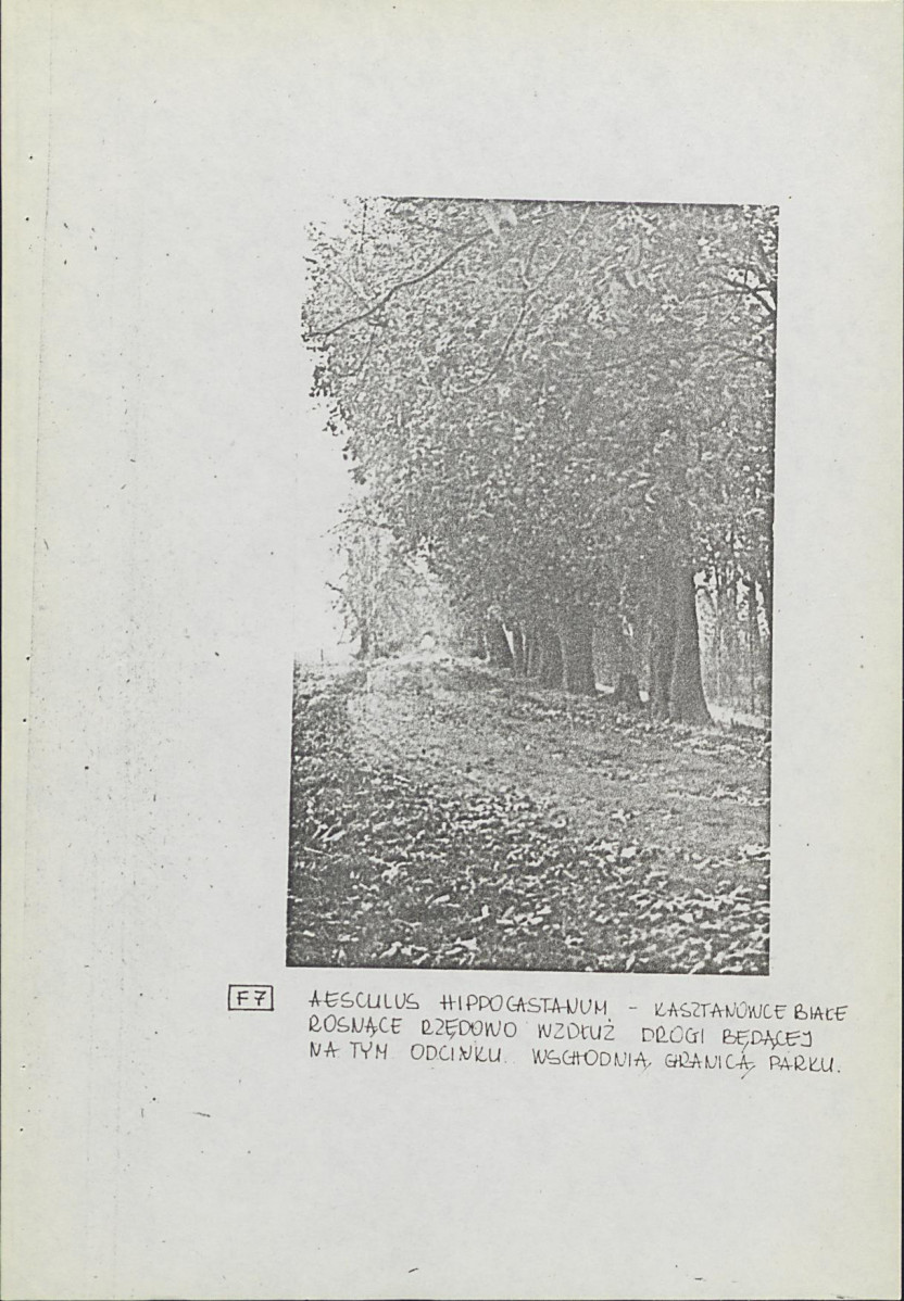 Ewidencja parkowa, skan nr 24