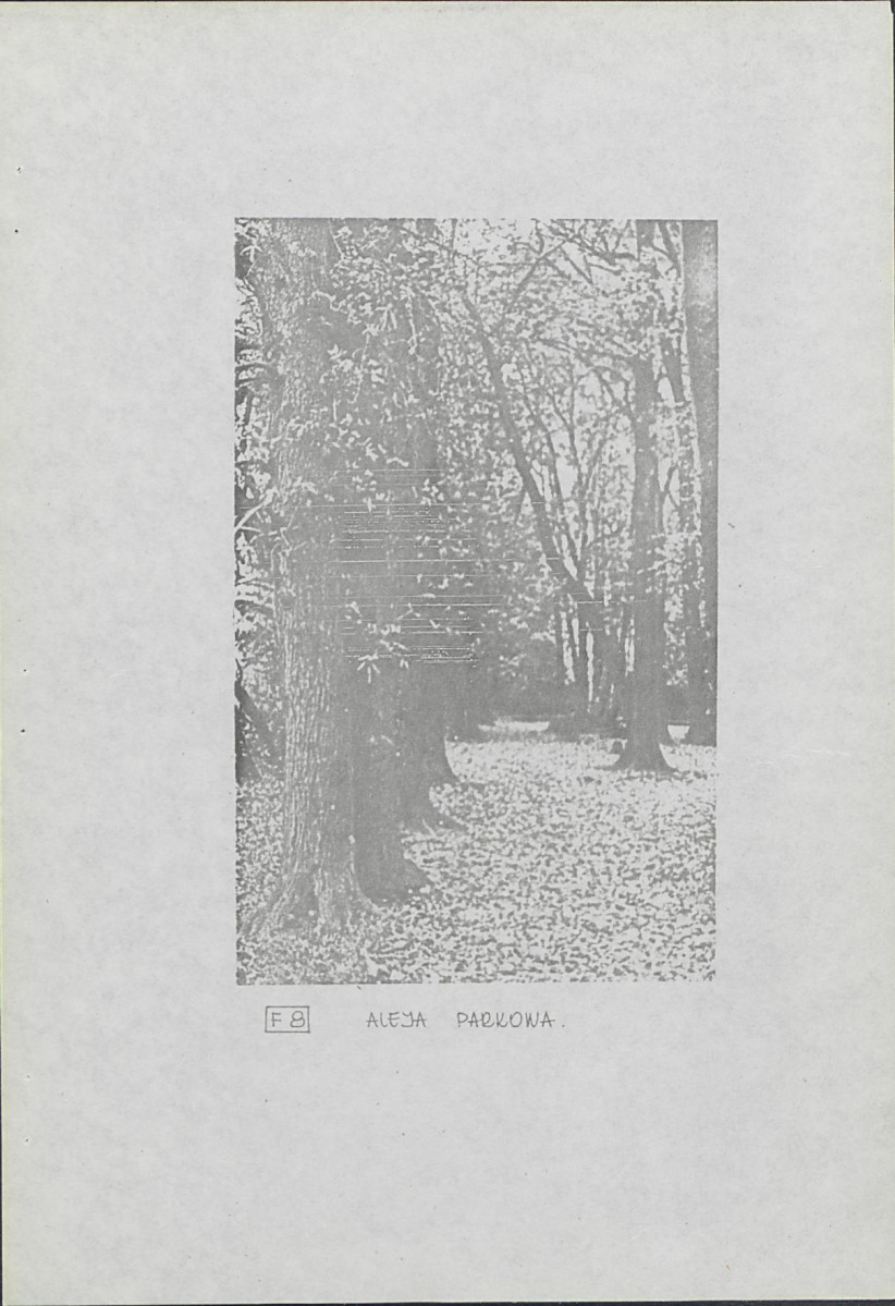 Ewidencja parkowa, skan nr 25