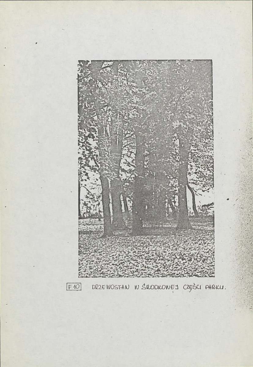 Ewidencja parkowa, skan nr 27