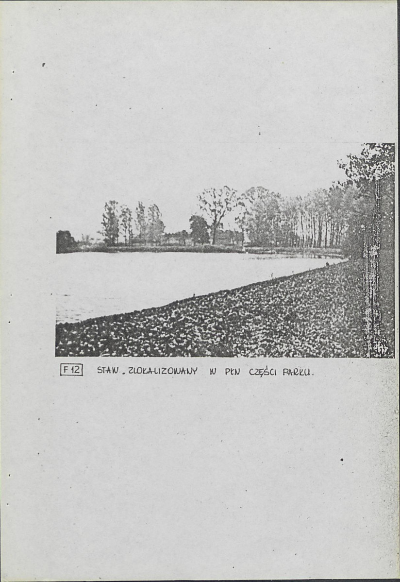 Ewidencja parkowa, skan nr 29