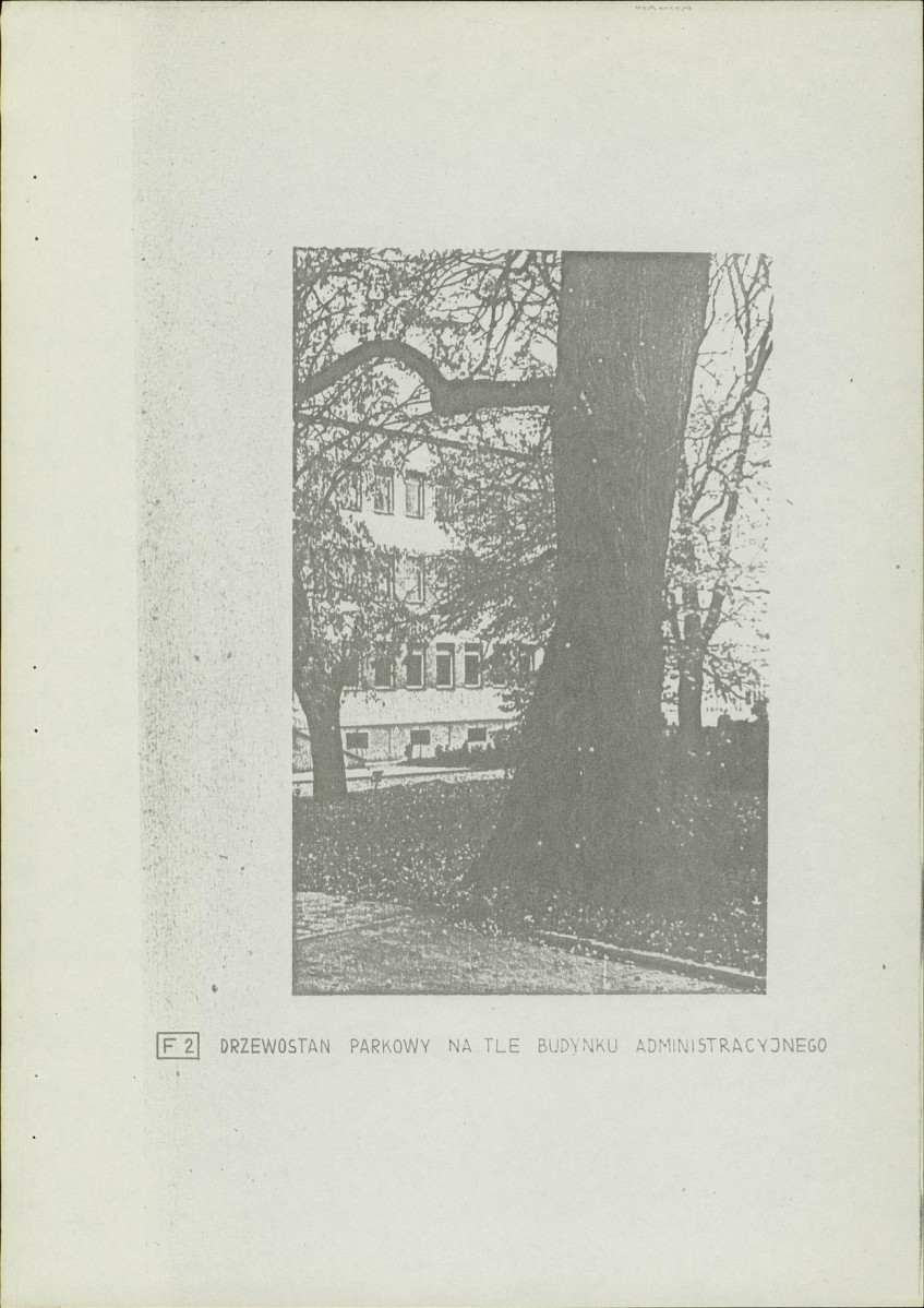 Ewidencja parkowa, skan nr 15