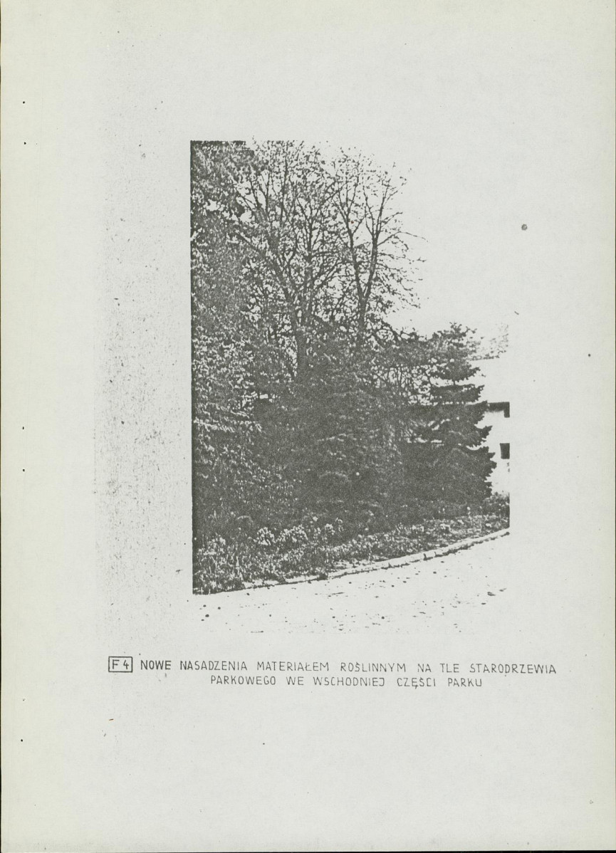 Ewidencja parkowa, skan nr 17