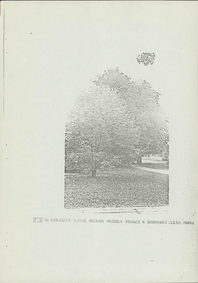 Ewidencja parkowa, skan nr 18