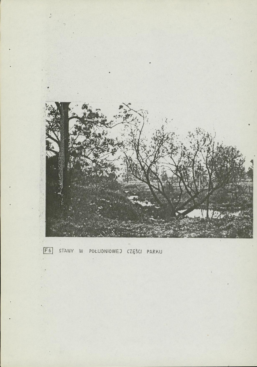 Ewidencja parkowa, skan nr 19