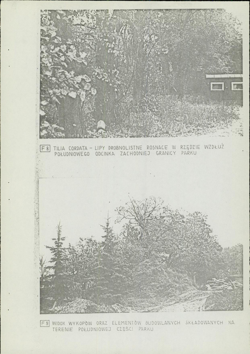 Ewidencja parkowa, skan nr 21