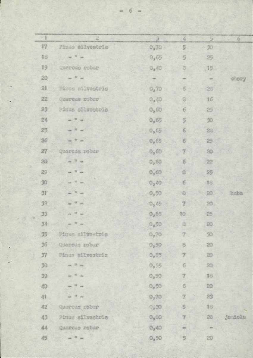 Ewidencja parkowa, skan nr 13