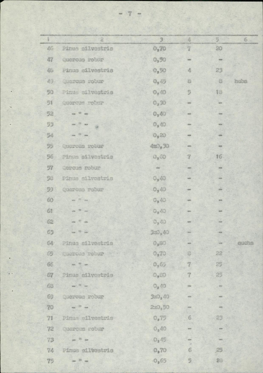 Ewidencja parkowa, skan nr 14