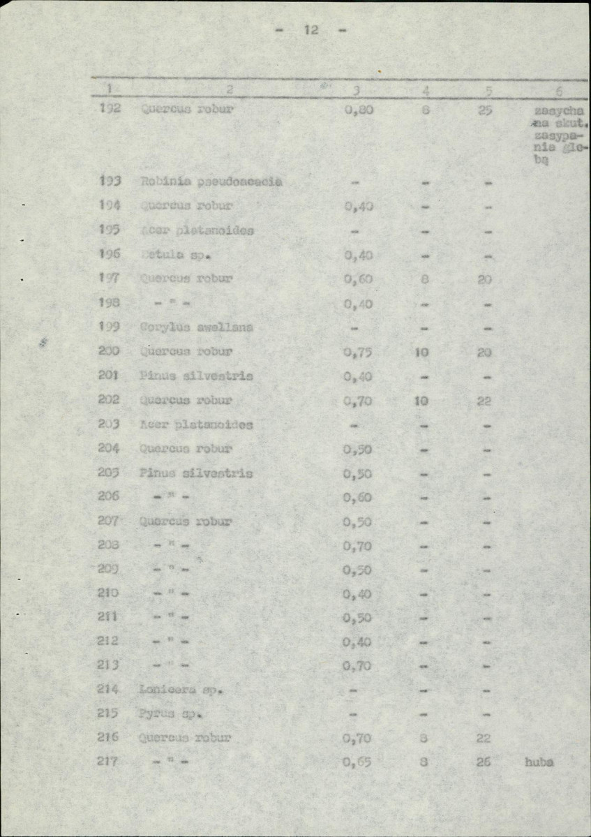 Ewidencja parkowa, skan nr 19