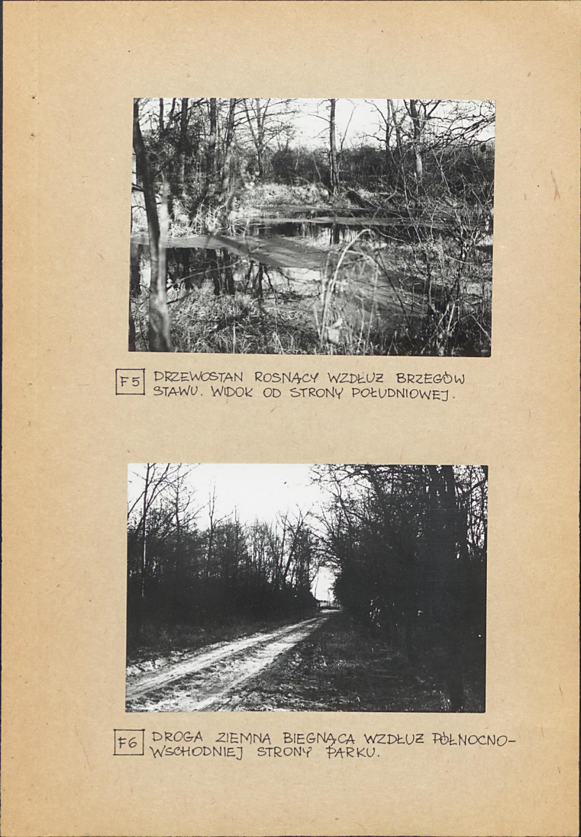 Ewidencja parkowa, skan nr 22