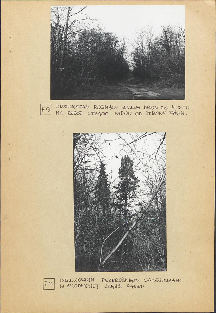 Ewidencja parkowa, skan nr 24
