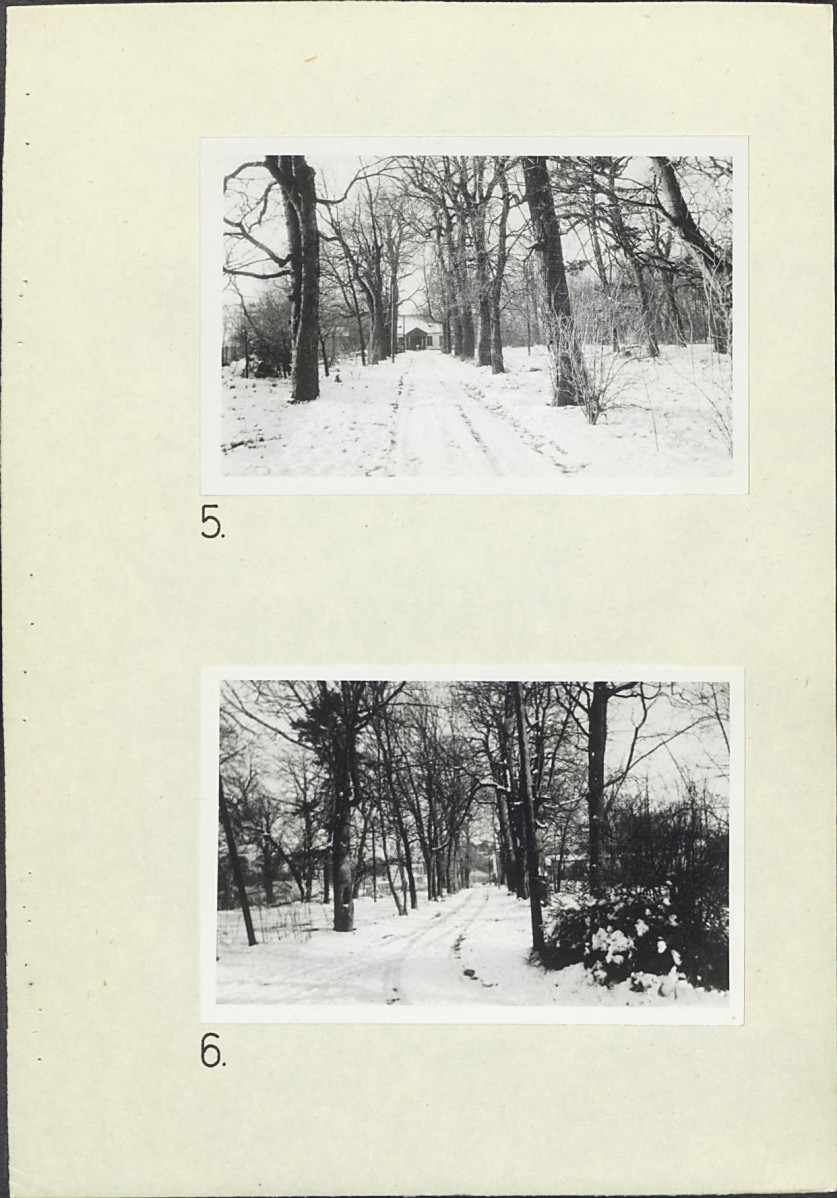 Ewidencja parkowa, skan nr 15