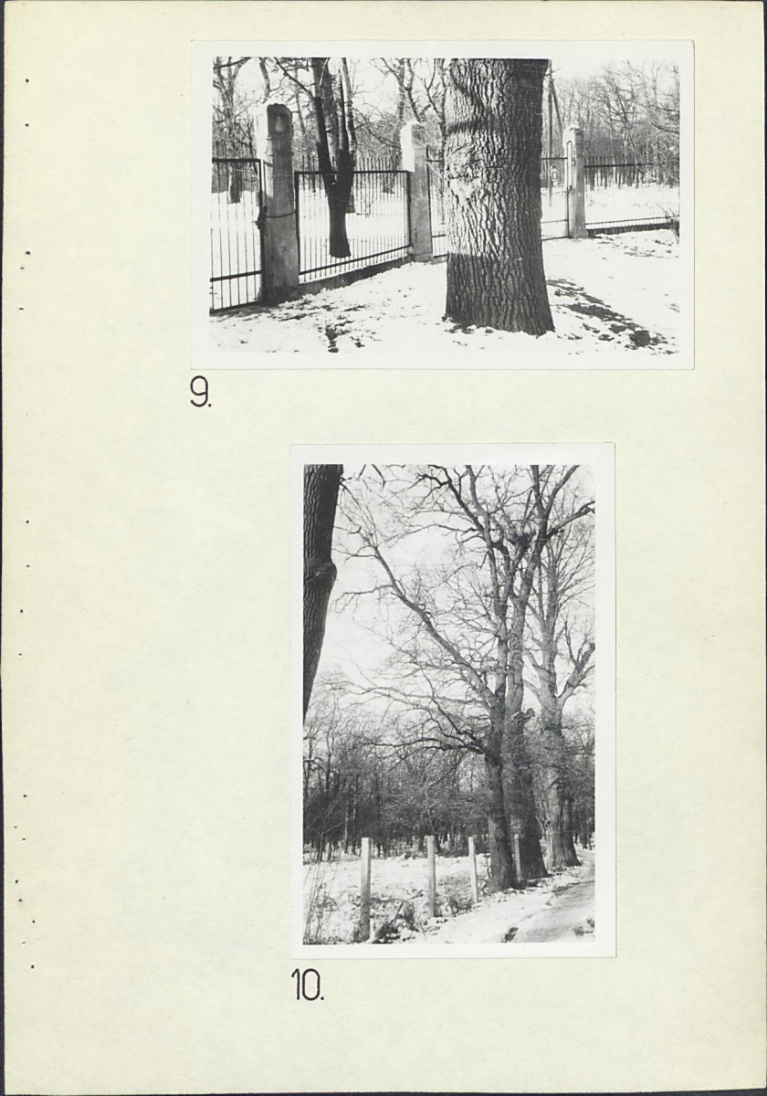 Ewidencja parkowa, skan nr 17