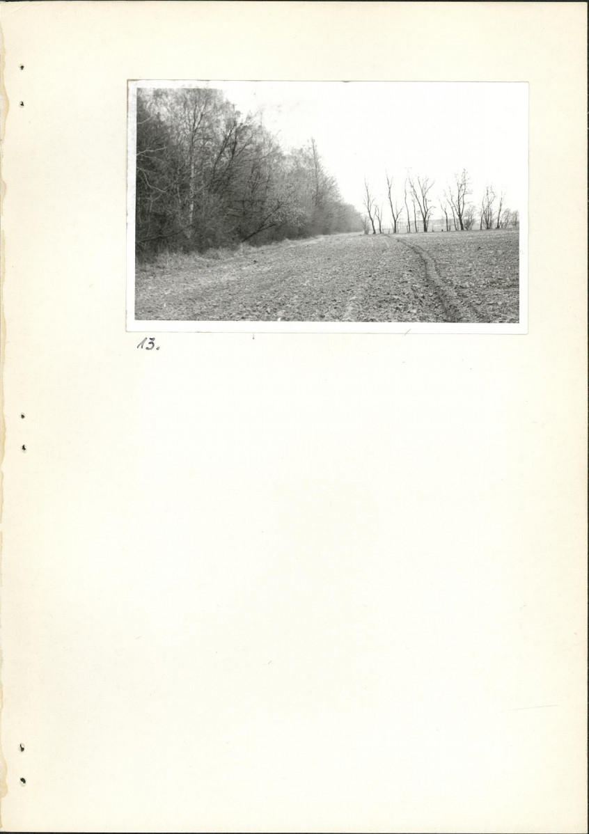 Ewidencja parkowa, skan nr 31