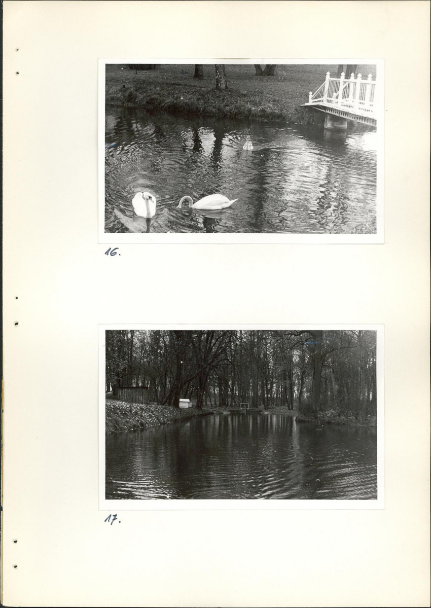 Ewidencja parkowa, skan nr 28