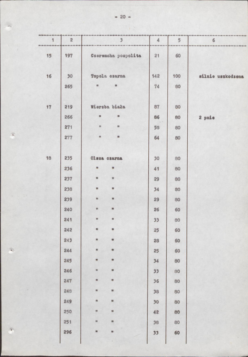 Ewidencja parkowa, skan nr 27