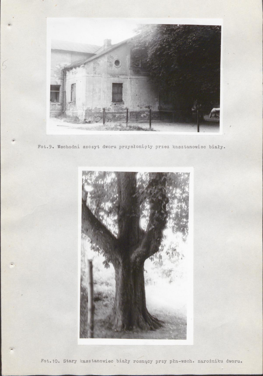 Ewidencja parkowa, skan nr 44