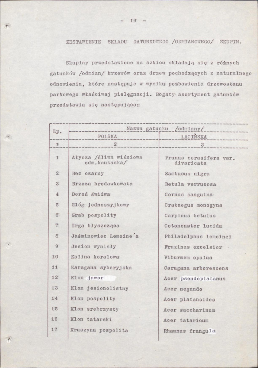 Ewidencja parkowa, skan nr 23