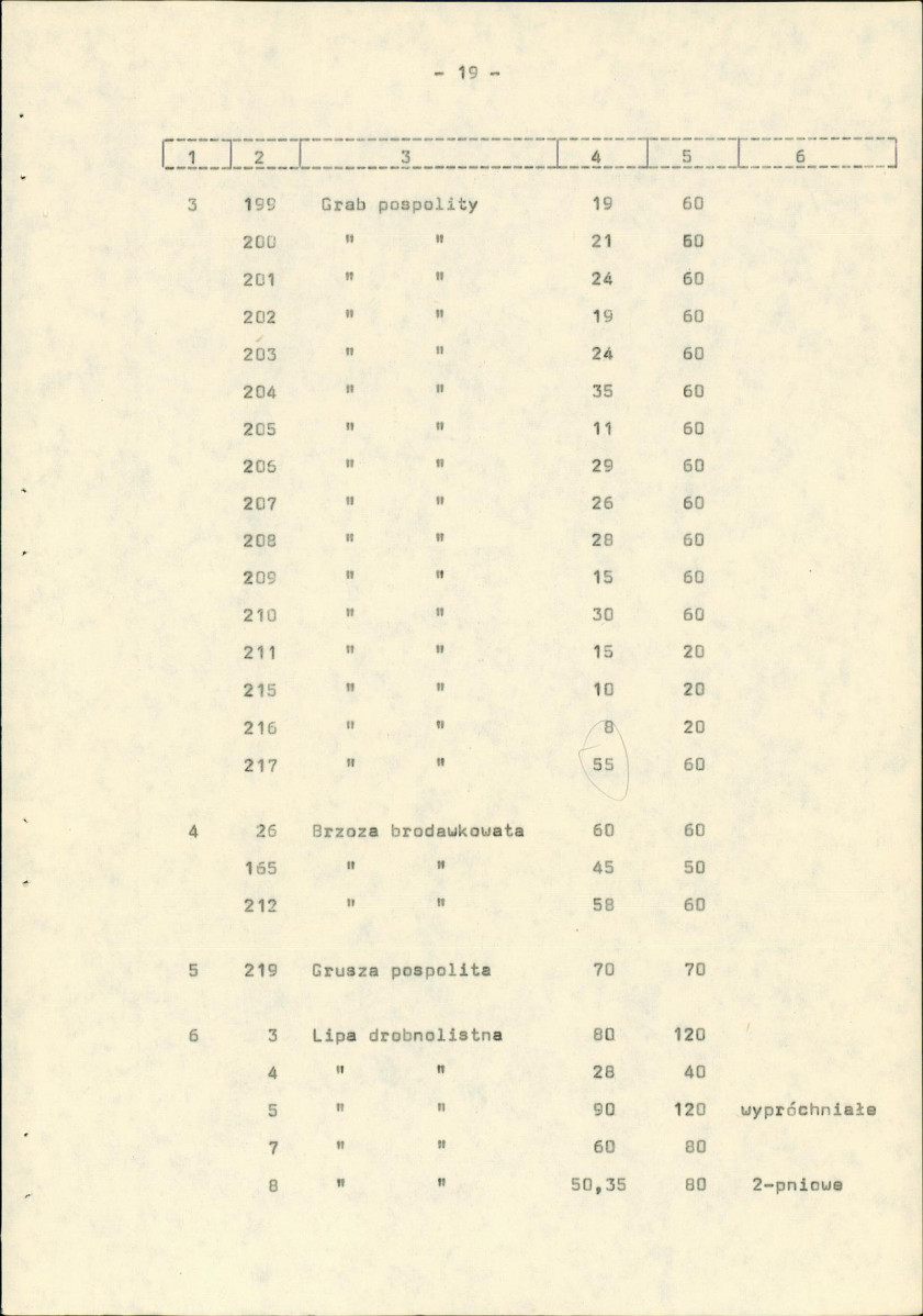 Ewidencja parkowa, skan nr 26