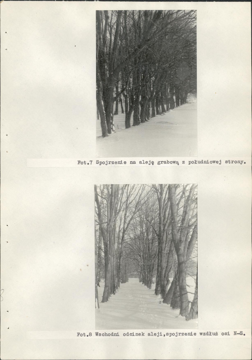 Ewidencja parkowa, skan nr 37