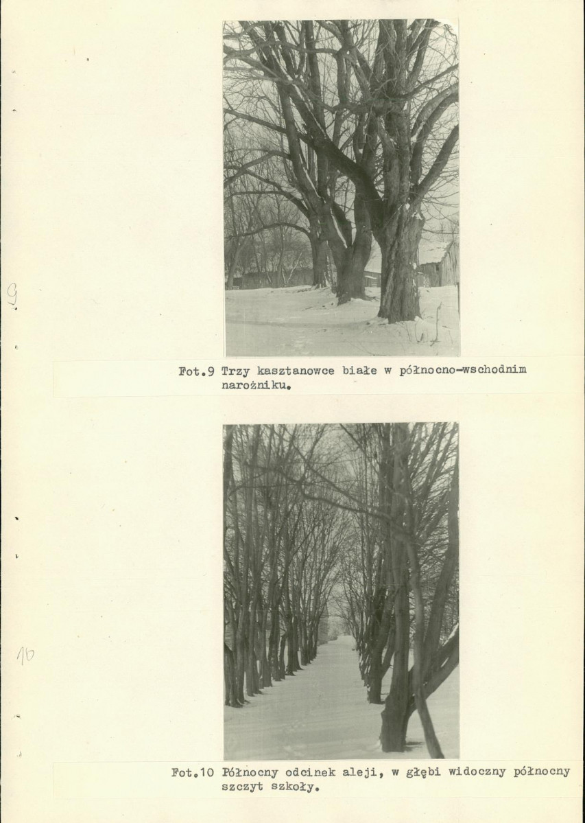 Ewidencja parkowa, skan nr 38