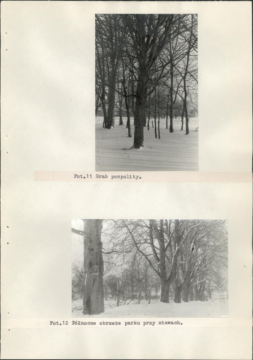 Ewidencja parkowa, skan nr 39