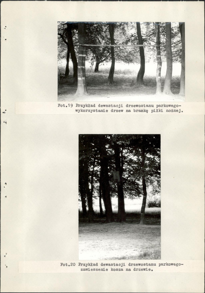 Ewidencja parkowa, skan nr 43