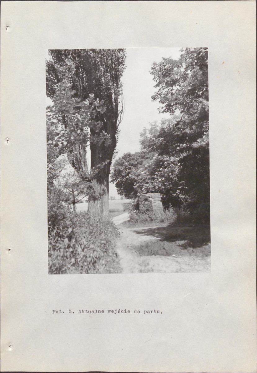 Ewidencja parkowa, skan nr 56