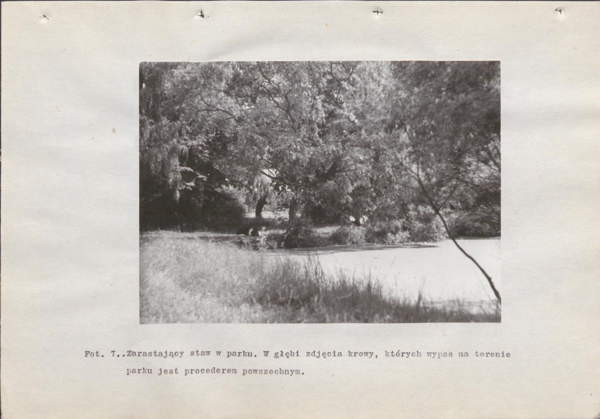 Ewidencja parkowa, skan nr 58