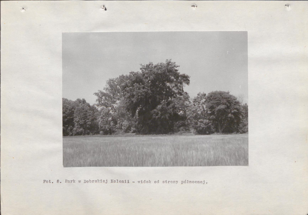 Ewidencja parkowa, skan nr 59