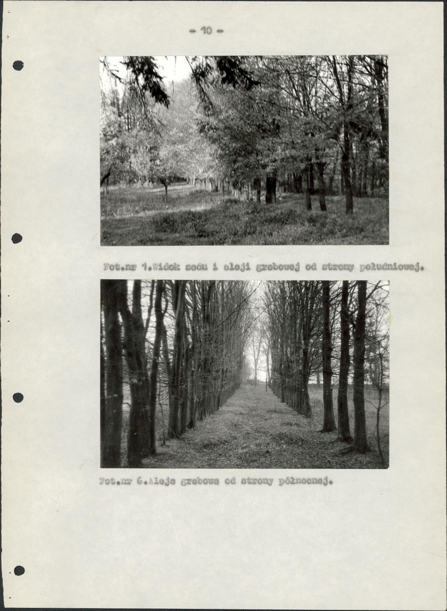 EP - Ewidencja parkowa, skan nr 17