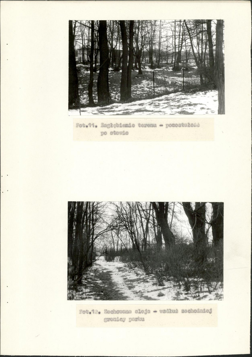 Ewidencja parkowa, skan nr 18