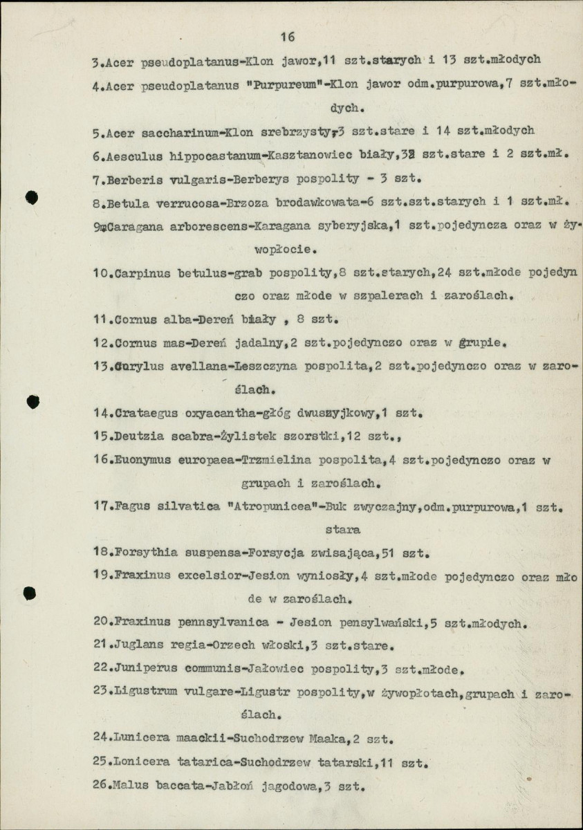 Ewidencja parkowa, skan nr 21